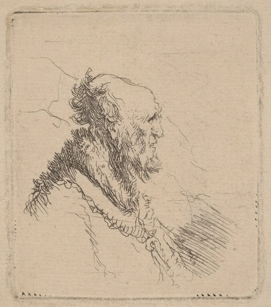 Bald Old Man with a Short Beard in Profile by Rembrandt van Rijn