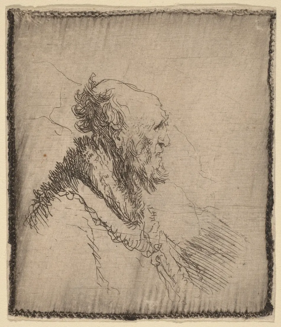 Bald Old Man with a Short Beard in Profile by Rembrandt van Rijn