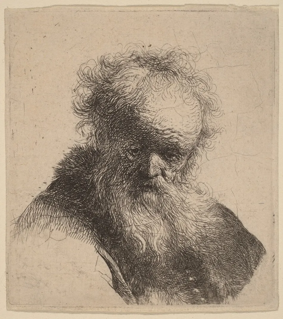 Bust of an Old Man with Flowing Beard and White Sleeve by Rembrandt van Rijn