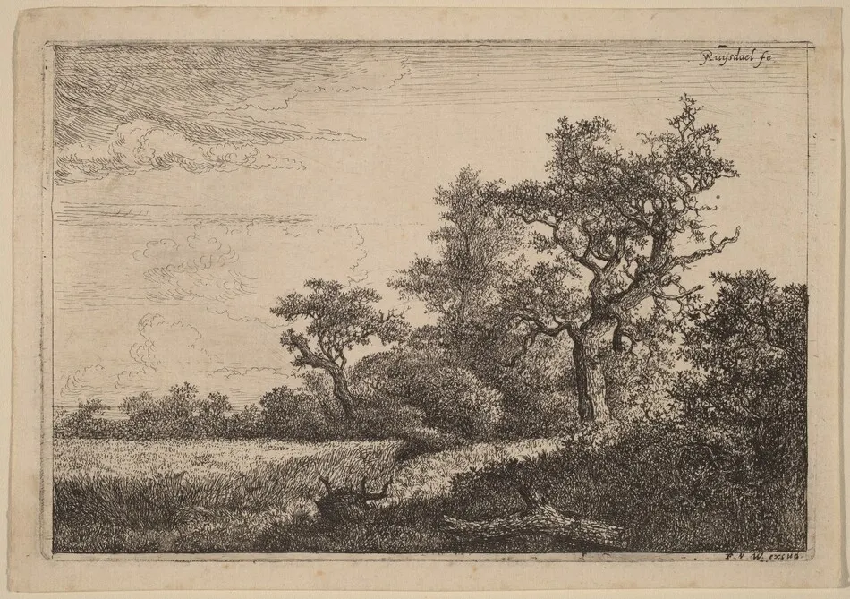 Grain Field at the Edge of a Wood (Corn Field) by Jacob van Ruisdael