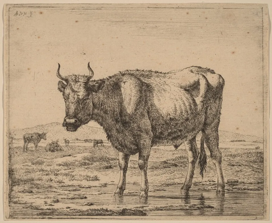 Bull Standing in Water by Adriaen van de Velde