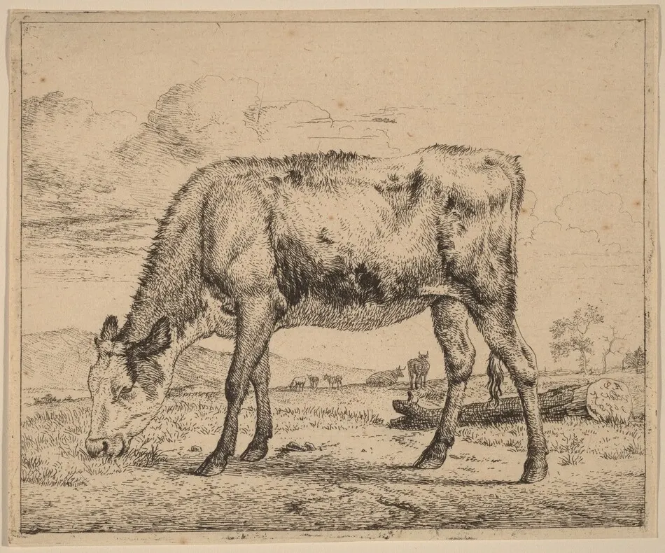 Grazing Calf by Adriaen van de Velde