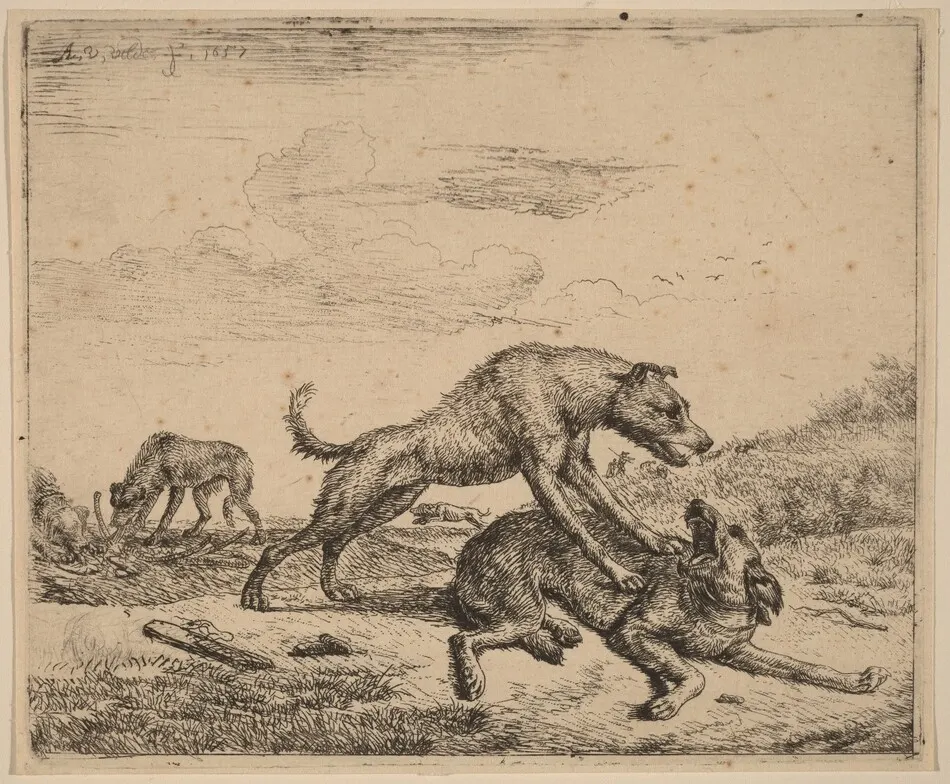 Fighting Dogs by Adriaen van de Velde