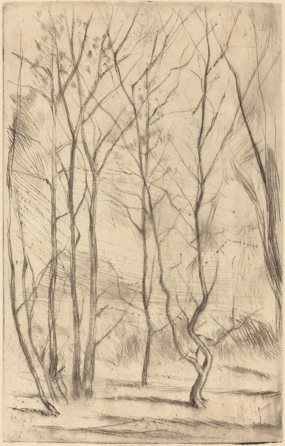 The Dam Wood by James McNeill Whistler