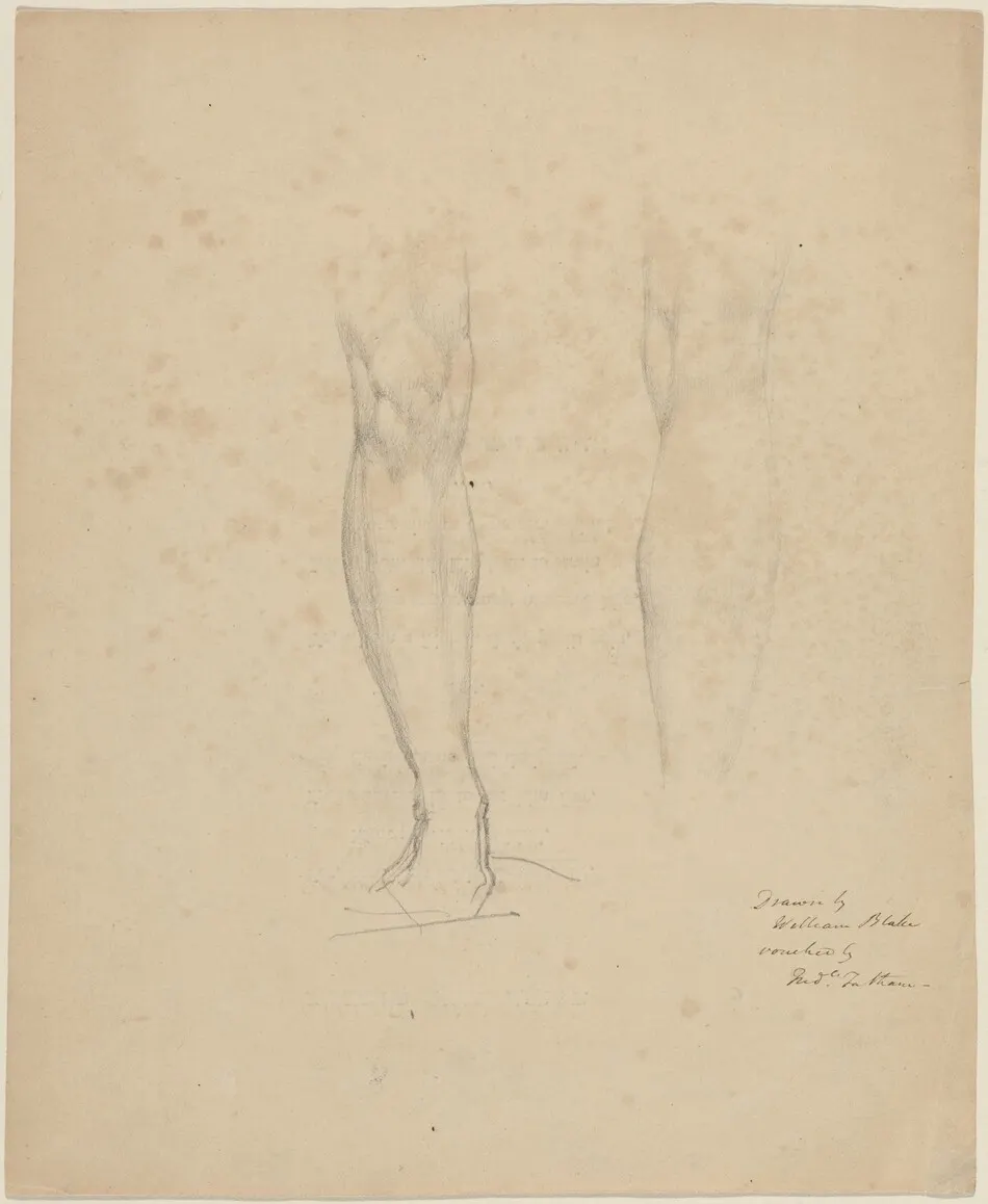 Two Legs by William Blake