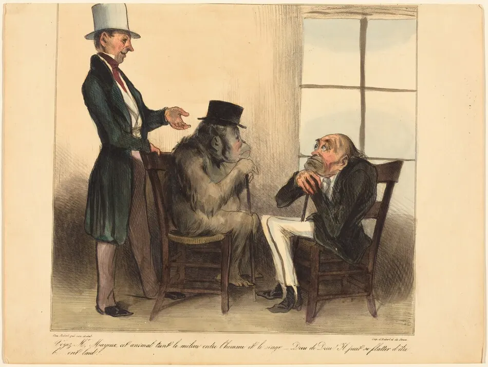 Voyez, Mr. Mayeux, cet animal... by Daumier, Honoré