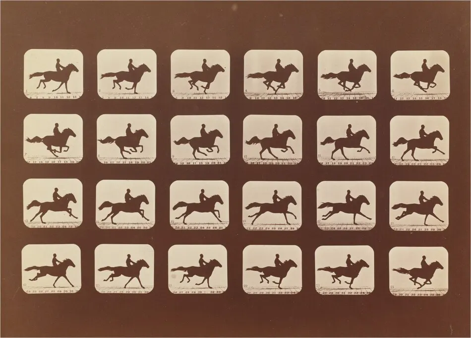 Horses. Running. Phyrne L. No. 40 by Eadweard Muybridge