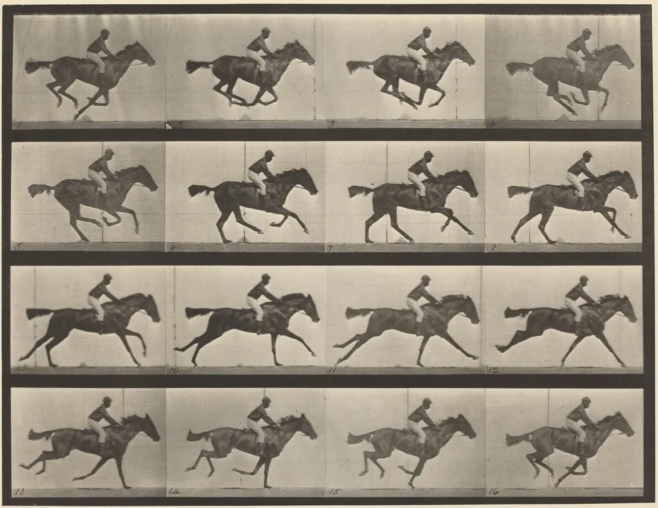 Plate Number 626. Gallop, thoroughbred bay mare, Annie G. by Eadweard Muybridge