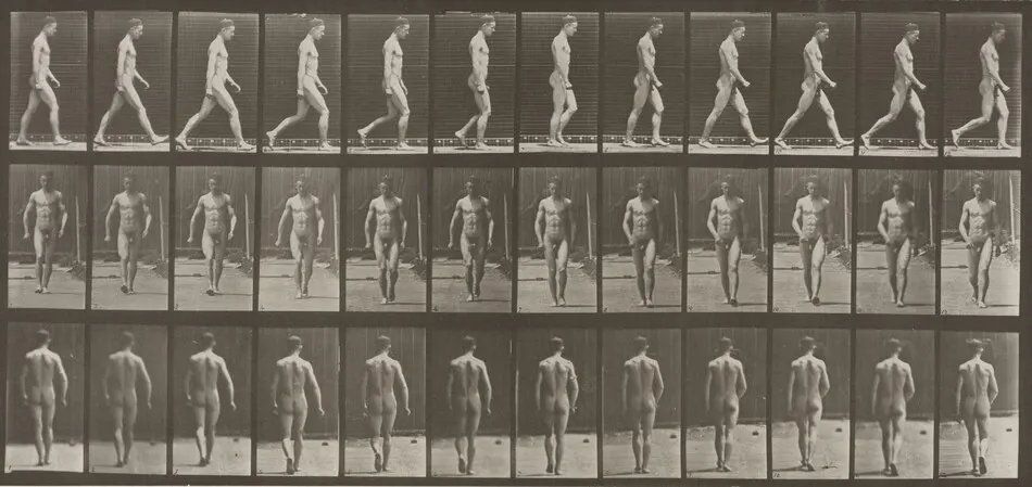 Plate Number 1. Walking by Eadweard Muybridge