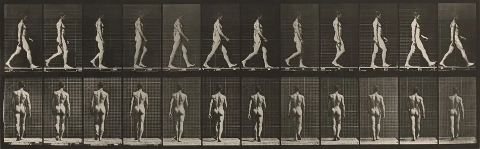 Plate Number 2. Walking by Eadweard Muybridge