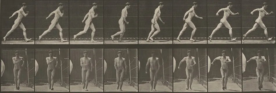 Plate Number 4. Walking by Eadweard Muybridge