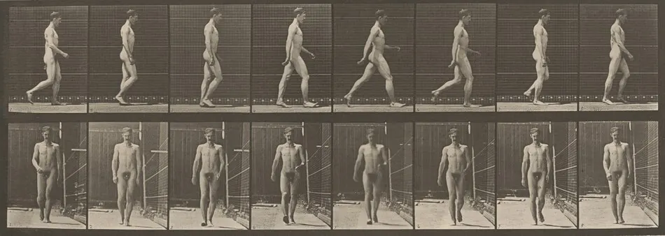 Plate Number 5. Walking by Eadweard Muybridge