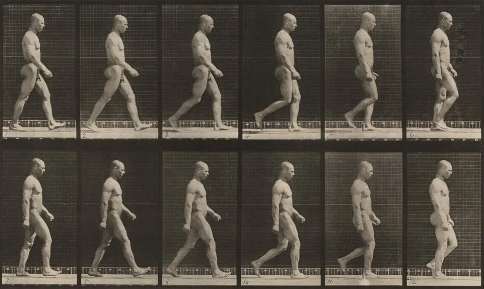 Plate Number 6. Walking by Eadweard Muybridge