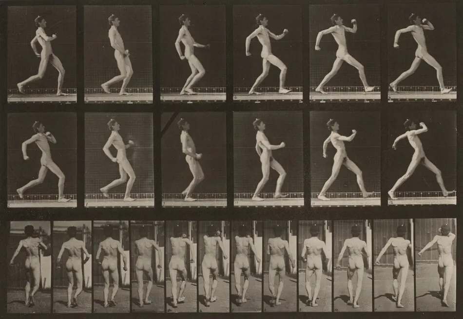 Plate Number 7. Walking by Eadweard Muybridge