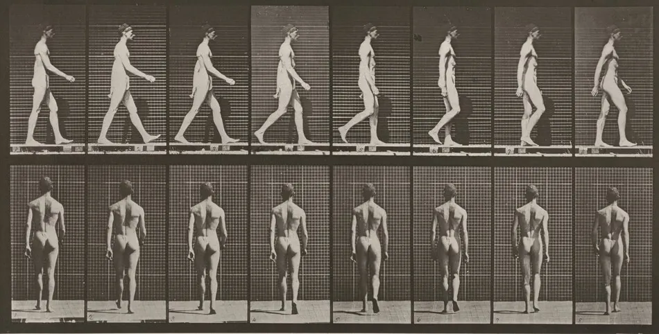 Plate Number 8. Walking by Eadweard Muybridge