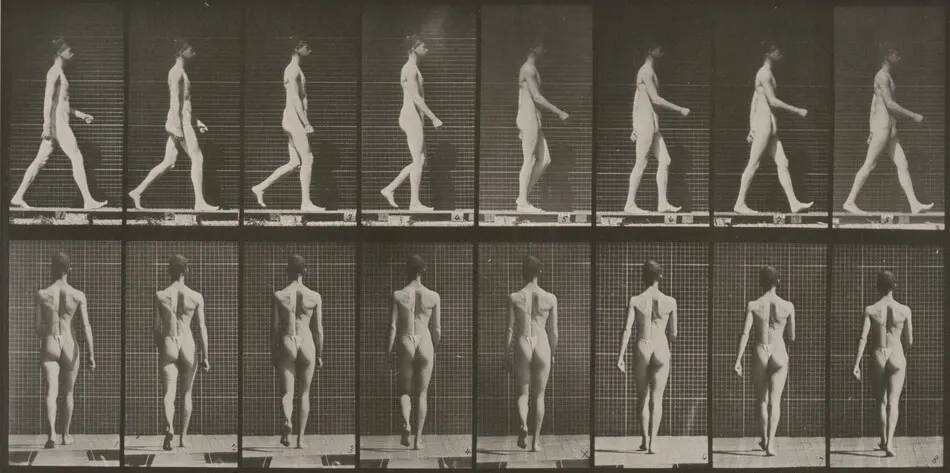 Plate Number 9. Walking by Eadweard Muybridge