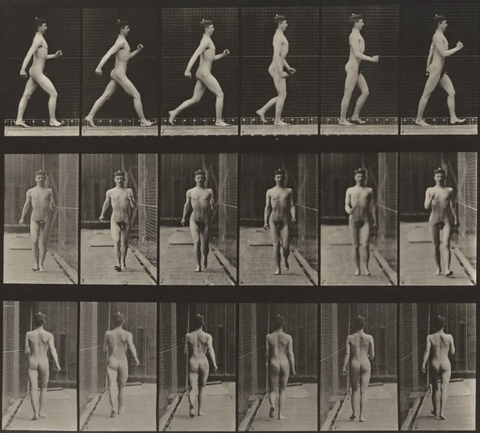 Plate Number 10. Walking by Eadweard Muybridge