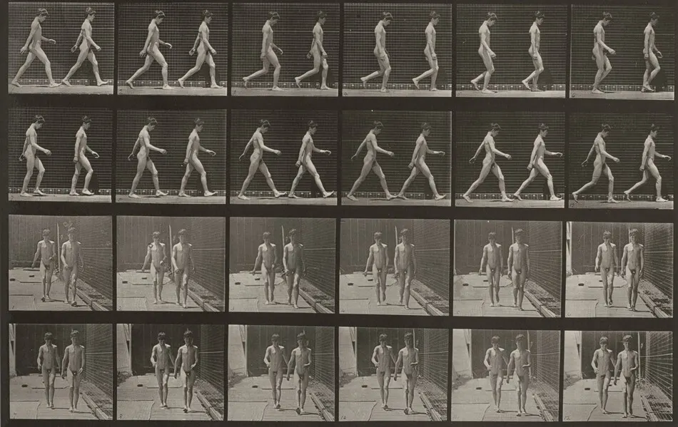 Plate Number 12. Walking by Eadweard Muybridge