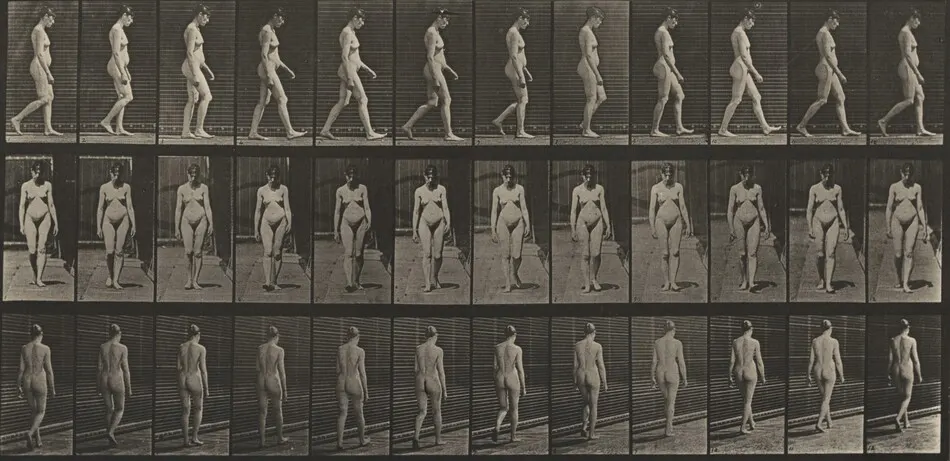 Plate Number 13. Walking by Eadweard Muybridge