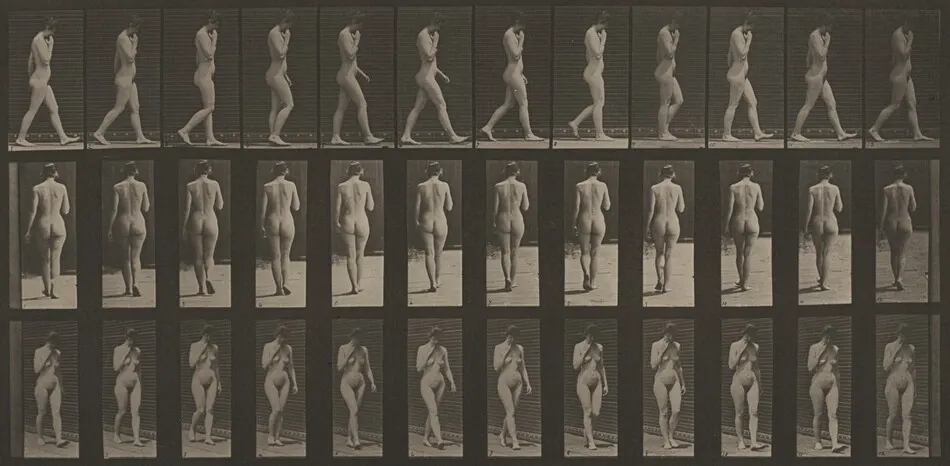 Plate Number 14. Walking, right hand at chin by Eadweard Muybridge