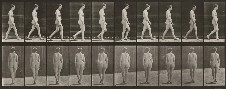 Plate Number 15. Walking by Eadweard Muybridge