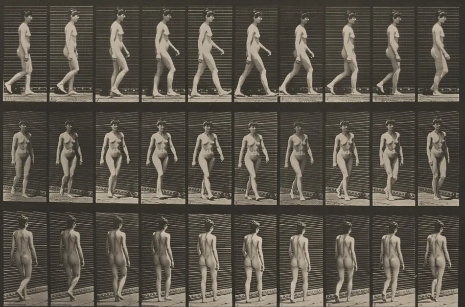 Plate Number 16. Walking by Eadweard Muybridge