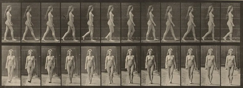 Plate Number 17. Walking by Eadweard Muybridge