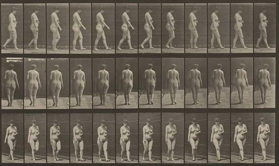 Plate Number 18. Walking, left hand across abdomen by Eadweard Muybridge