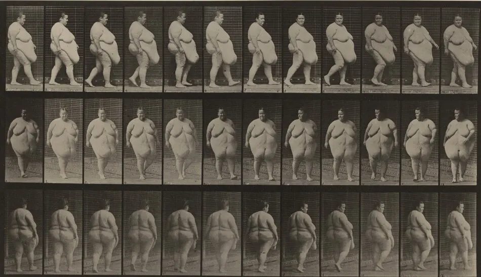 Plate Number 19. Walking, commencing to turn around by Eadweard Muybridge