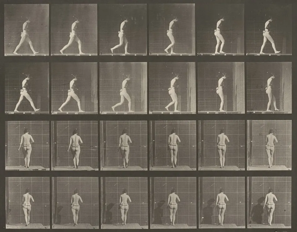 Plate Number 20. Walking, right elbow bent by Eadweard Muybridge
