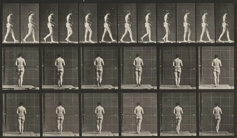 Plate Number 21. Walking, both elbows bent by Eadweard Muybridge