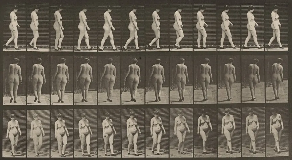 Plate Number 24. Walking with shoes on by Eadweard Muybridge