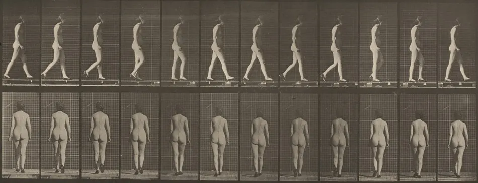 Plate Number 25. Walking with shoes on by Eadweard Muybridge