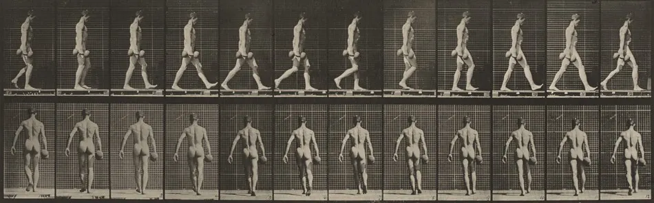 Plate Number 28. Walking and carrying a 50-lb. dumbbell in right hand by Eadweard Muybridge