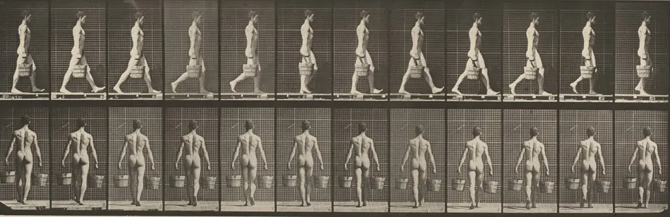 Plate Number 29. Walking and carrying a bucket of water in each hand by Eadweard Muybridge