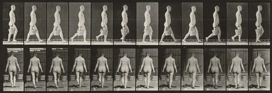 Plate Number 30. Walking and carrying a bucket of water in each hand by Eadweard Muybridge