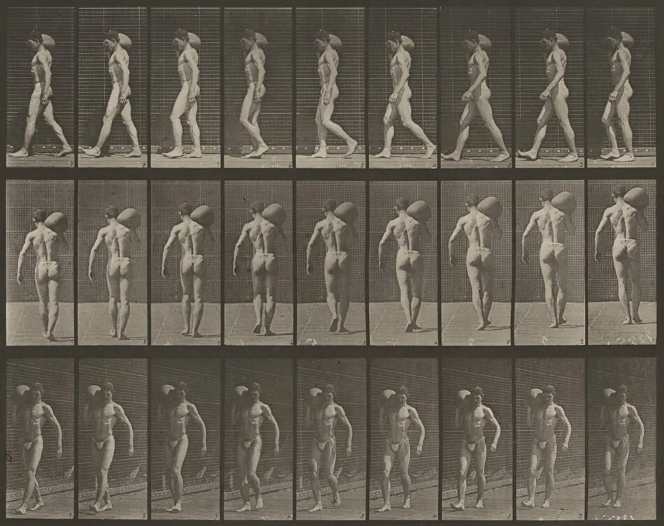 Plate Number 31. Walking, carrying a 75-lb. stone on right shoulder by Eadweard Muybridge