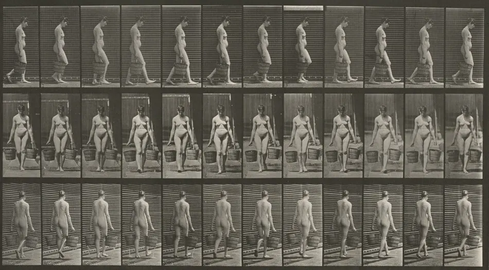 Plate Number 32. Walking and carrying a bucket of water in each hand by Eadweard Muybridge