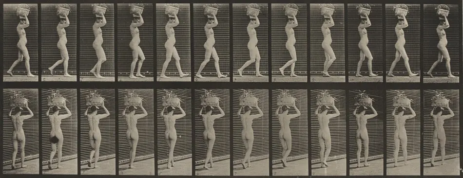 Plate Number 33. Walking and carrying a 14-lb. basket on head, hands raised by Eadweard Muybridge