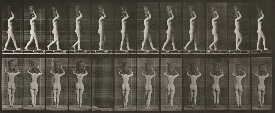 Plate Number 34. Walking and carrying a 15-lb. basket on head, hands raised by Eadweard Muybridge