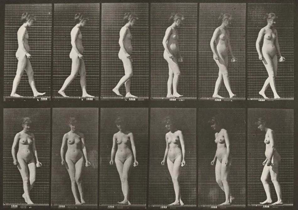 Plate Number 47. Walking and turning around by Eadweard Muybridge