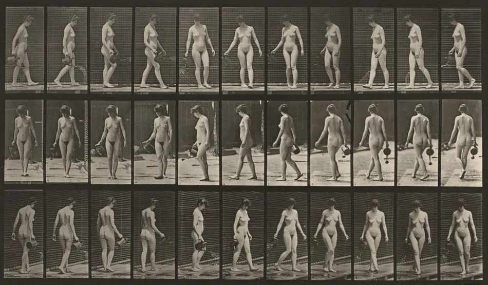 Plate Number 51. Walking, turning around and using a sprinkling pot by Eadweard Muybridge