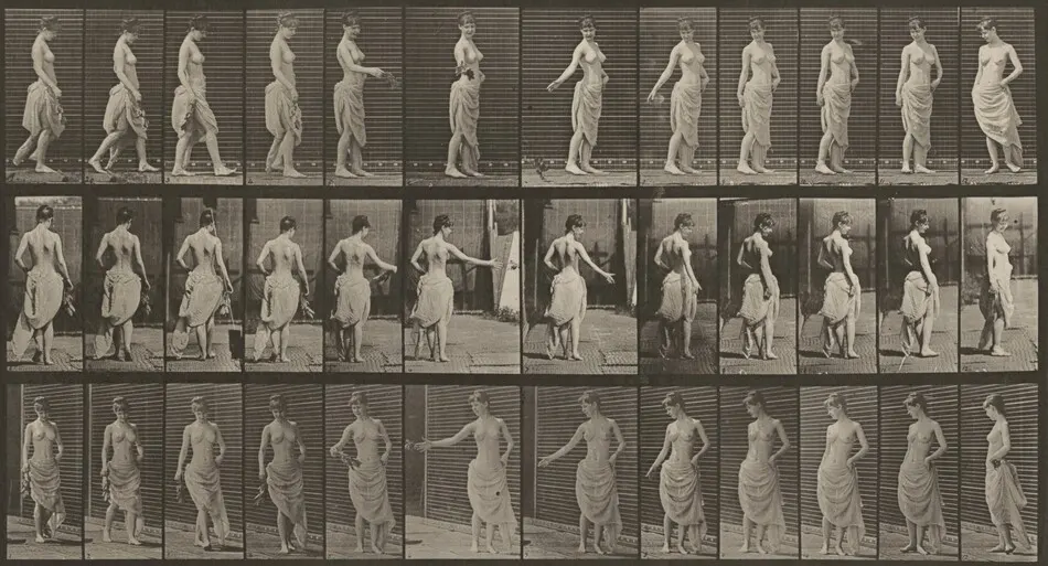 Plate Number 53. Walking, scattering flowers and turning around by Eadweard Muybridge