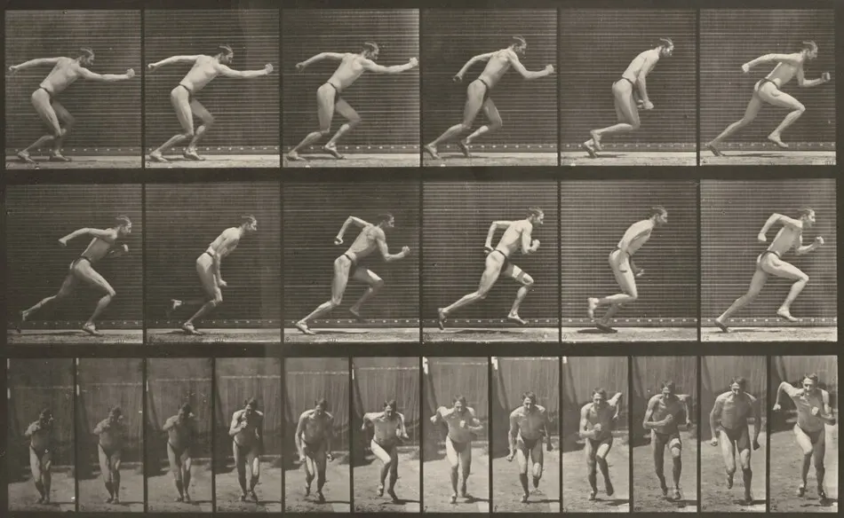 Plate Number 59. Starting for a run by Eadweard Muybridge