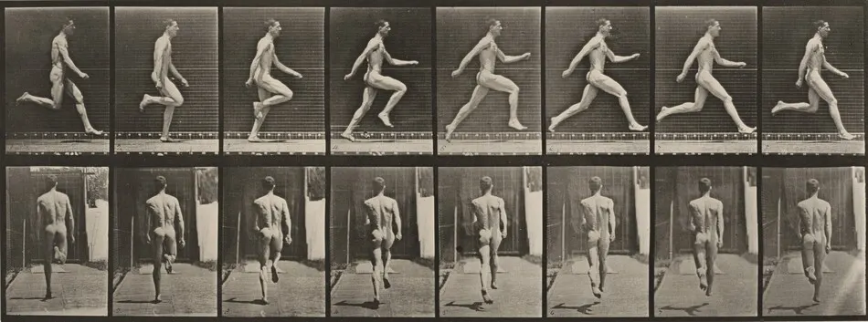 Plate Number 65. Running at full speed by Eadweard Muybridge