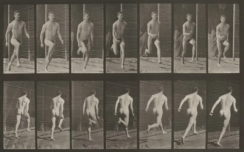 Plate Number 66. Running by Eadweard Muybridge
