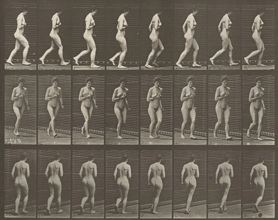Plate Number 70. Running by Eadweard Muybridge