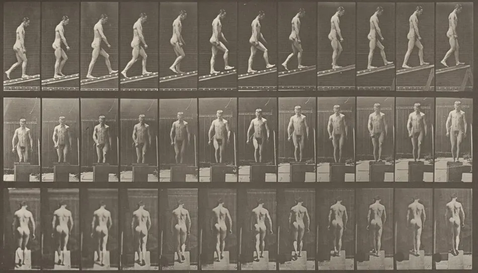 Plate Number 74. Ascending an incline by Eadweard Muybridge