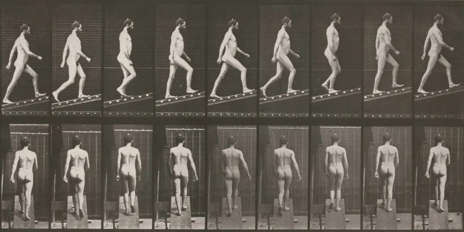Plate Number 75. Ascending an incline by Eadweard Muybridge