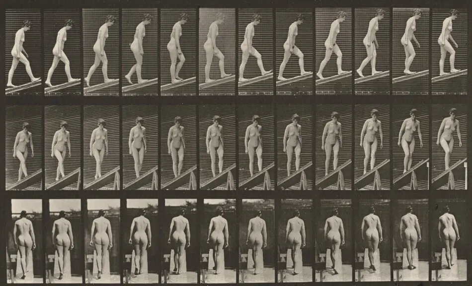 Plate Number 76. Ascending an incline by Eadweard Muybridge